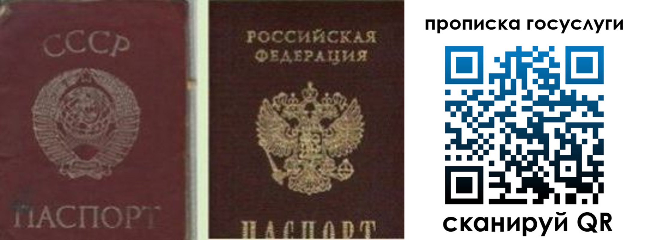 временная регистрация 2025 в Шебекино